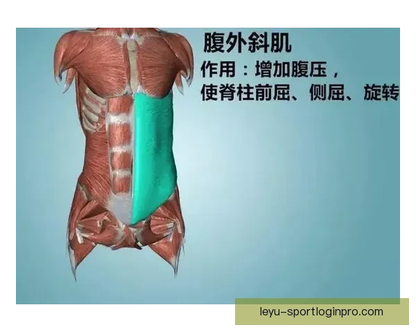 里夫斯腹斜肌二级损伤专家解析詹皇季后赛核心策略